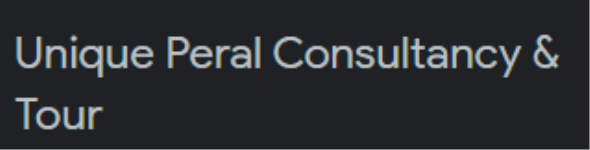 Unique Peral Consultancy and Tour - Sector 6 - Gandhinagar