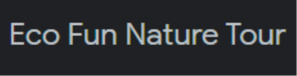 Eco Fun Nature Tour - Convent Rd - Kodaikanal