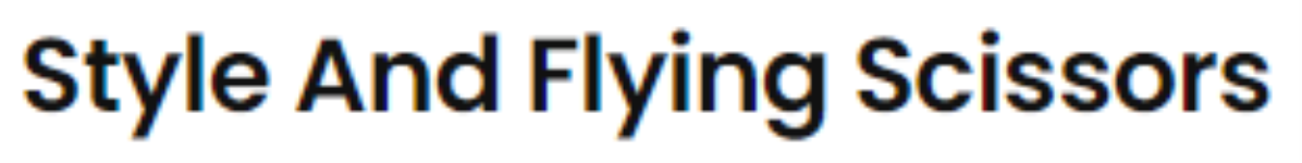 Style And Flying Scissors - Kishangarh - Ajmer