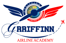 Grriffinn Airline Academy - Thane West