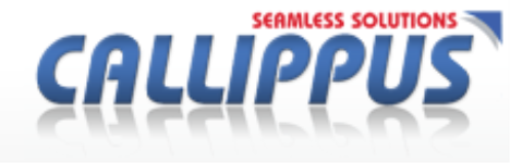 Callippus Seamless Solutions
