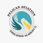 Pelican Aviation N Education Academy - Bandra West - Mumbai