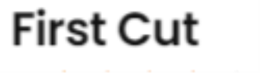 First Cut - Mall Road - Manali