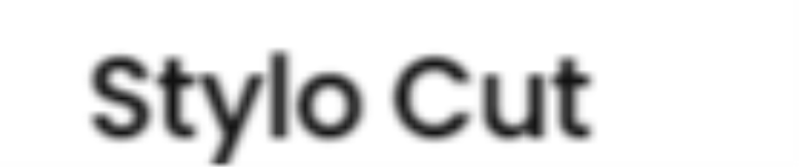 Stylo Cut - Bhuntar - Manali