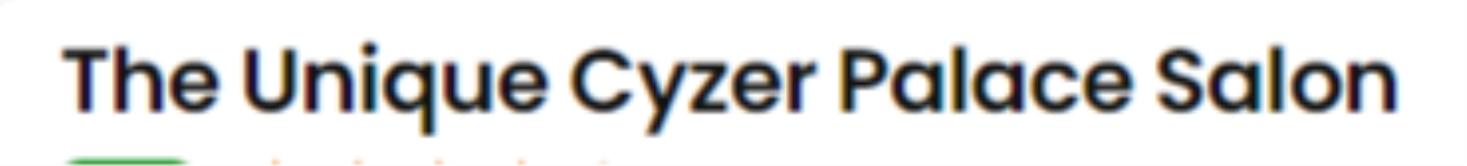 The Unique Cyzer Palace Salon - Bhuntar - Manali