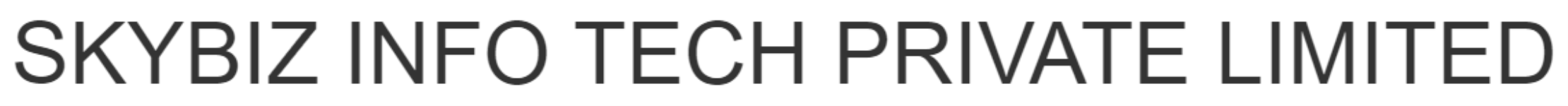 Skybiz Info Tech