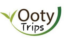 Ooty Trips - Upper Bazaar - Ooty