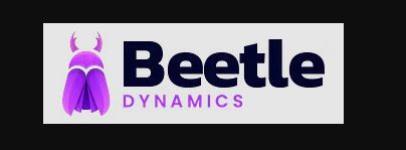 Beetle Dynamics