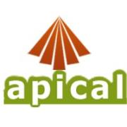 Apical Buildtech - Bareilly Image