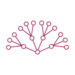 Tulsa Group - Guwahati Image