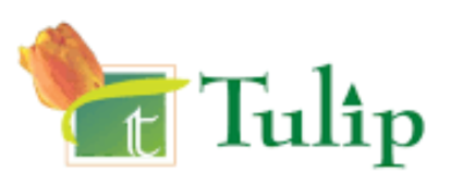 Tulip Info Services - Jodhpur Image