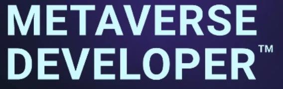 Metaverse Developers