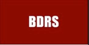 BDRS and Associates