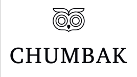 Teal By Chumbak Watches