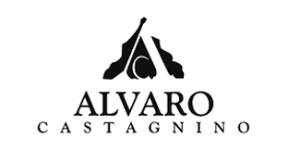 Alvaro Castagnino Bags
