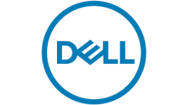 Dell Bags