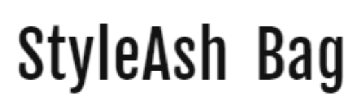 Styleash Bags