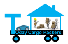 Today Cargo Packers - New Delhi