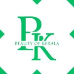 Beauty of kerala - Kochi