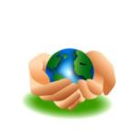 Evergreen Professional Packers And Movers