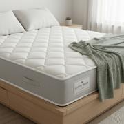 Cotton Trendy Mattress