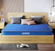 Fortune Foam Mattress