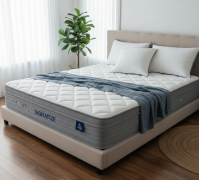 Signatize Mattress