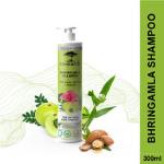 Colorbar Co-Earth Bhringamla Shampoo