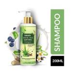 Indalo White Tea Aloe Vera Shampoo For Oily Hair