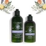 Loccitane Shining Hair Care Pack With Shampoo