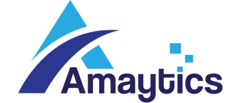 Amaytics Digital Services