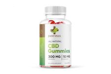 Joint Plus CBD Gummies