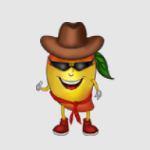 MangoMan Intelligent (MMIT)