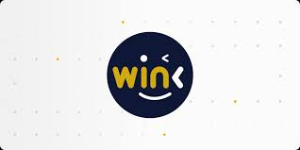 WINkLink (WIN)