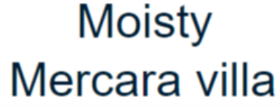 Moisty Mercara Villa - Madikeri - Coorg