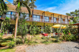 Yogi Beach Resort - Morjim - Goa