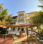 Tranquilo - Arambol - Goa