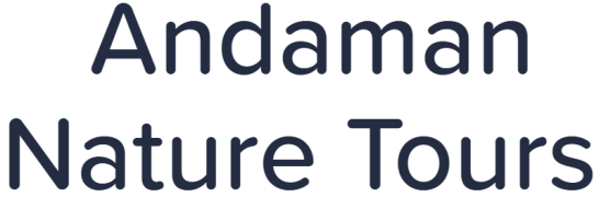 Andaman Nature Tours - Minnie Bay - Goa