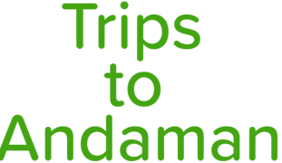 Trips to Andaman - Thomas Colony - Goa