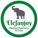 Elefanjoy