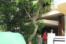 Bliss - Green Park - New Delhi