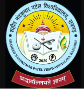 Shaheed Nandkumar Patel Vishwavidyalaya - Raigarh