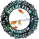 Delhi Fish Aquarium - Burari - Delhi