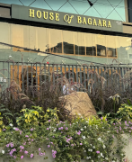 House Of Bagaara - Madhapur - Hyderabad