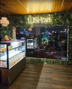 Lush Cafe By The Lake - Madhapur - Hyderabad