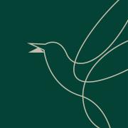 Chirp - Gachibowli - Hyderabad