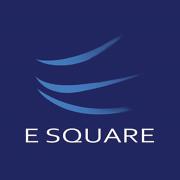 E Square System & Technologies