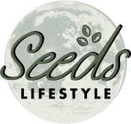 Seeds Lifestyle - Adyar - Chennai