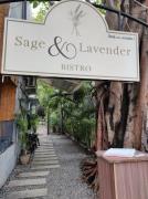 Sage And Lavender Bistro - Alwarpet - Chennai