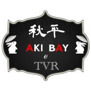 Aki Bay Tvr - Ra Puram - Chennai